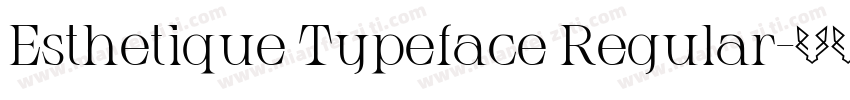 Esthetique Typeface Regular字体转换